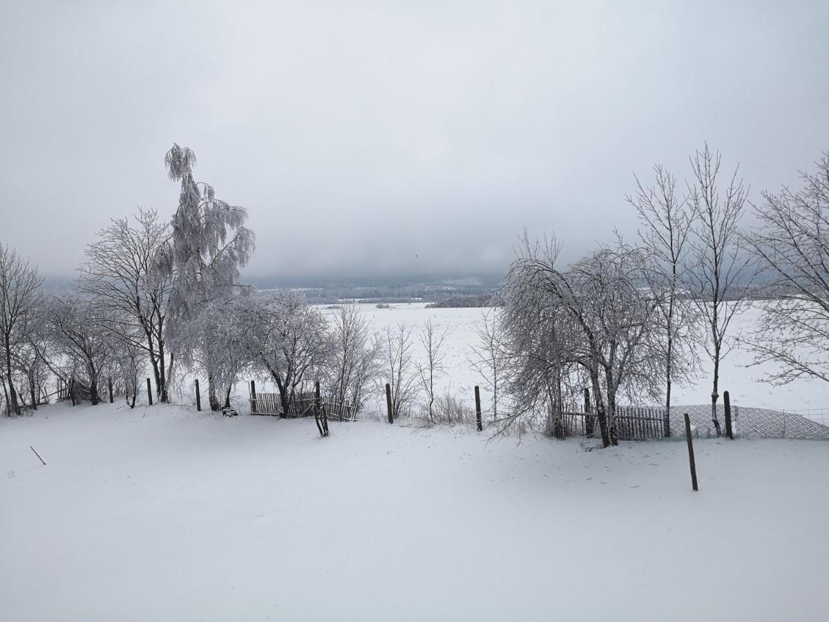 Agroturystyka Cieslarowka Lubawka Esterno foto
