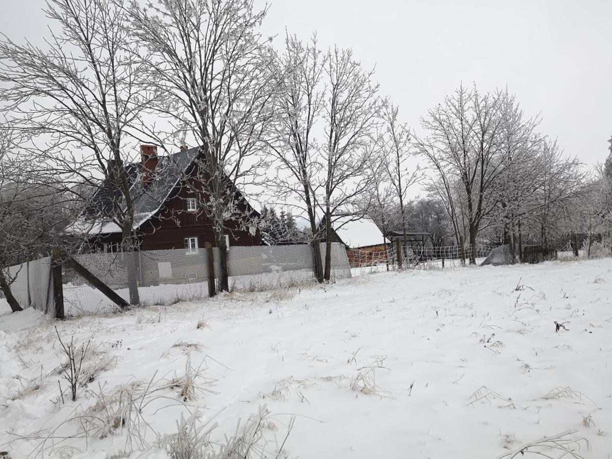 Agroturystyka Cieslarowka Lubawka Esterno foto
